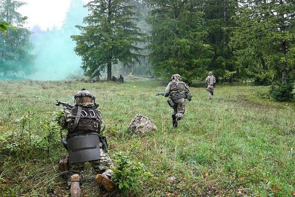 Кракен маркетплейс ссылка телеграмм