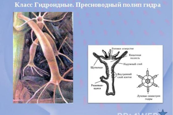 Кракен наркотики россия