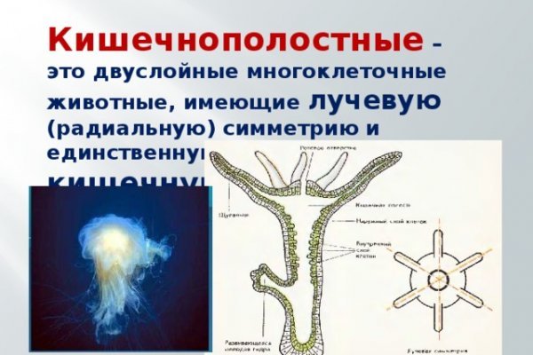 Кракен найдется все